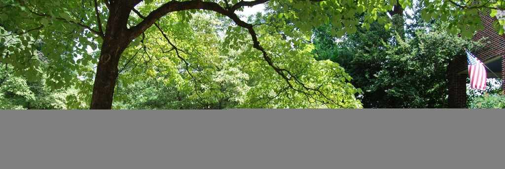 Room 2, B1bg Quiet Condo Perfect for Travel Nurses, Atlanta