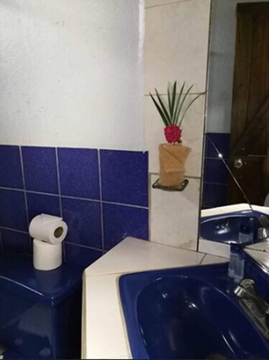Bathroom 4, Hotel Rincon De La Vieja Lodge, Liberia