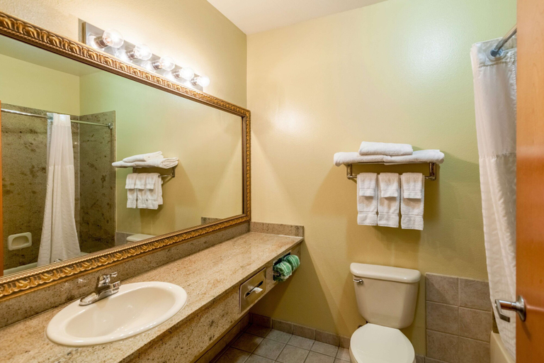 Bathroom 4, SureStay Plus Hotel by Best Western Mesquite, Dallas