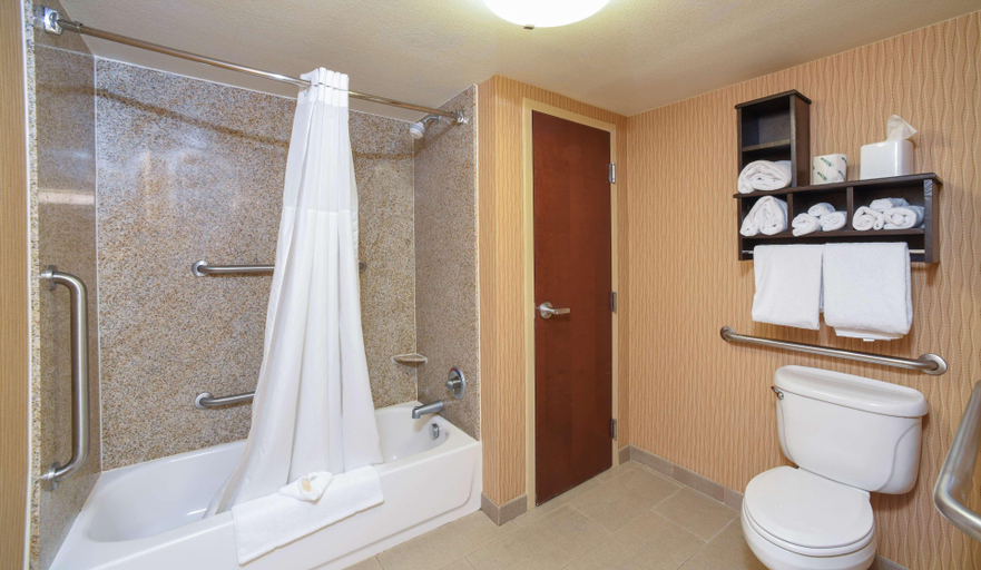 Bathroom 4, Hampton Inn Dry Ridge, Grant