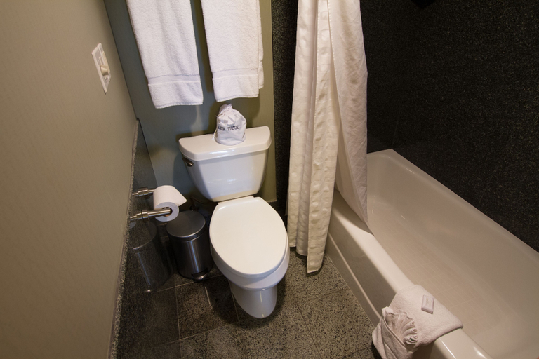 Bathroom 4, Scottsdale Parkview Hotel, Maricopa