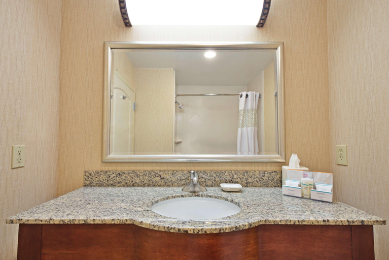 Bathroom 4, Hampton Inn Gainesville-Haymarket, Prince William