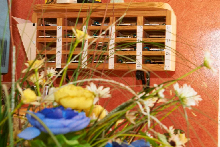 Public Area, Hotel Le Fleurance, Gers