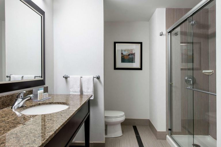 Bathroom 5, HAMPTON INN BY HILTON WINNIPEG AIRPORT, Division No. 11
