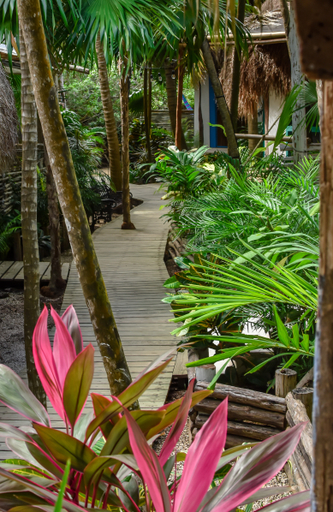 Public Area, Cormoran Boutique Hotel & Cenote Tulum, Cozumel