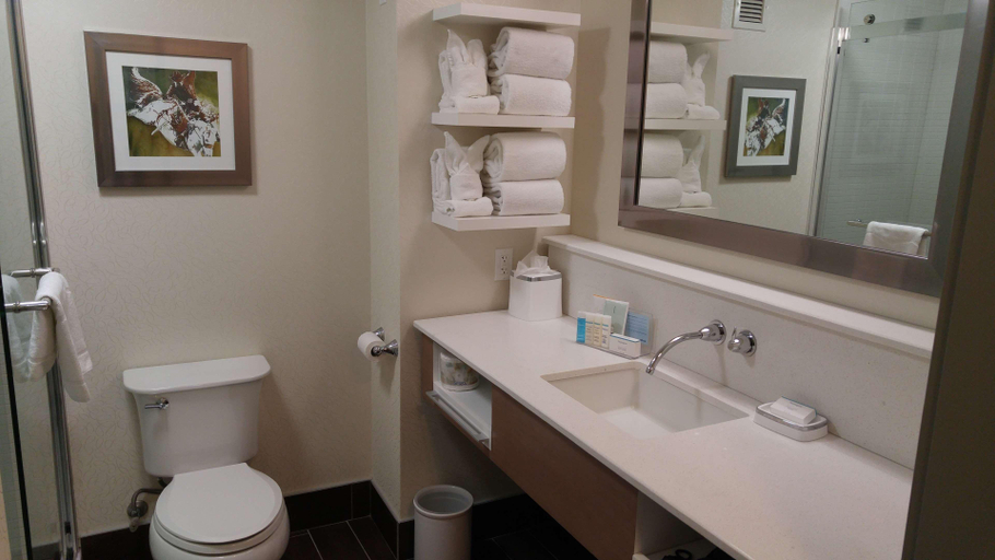 Bathroom 4, Hampton Inn & Suites Calgary University Northwest, Division No. 6