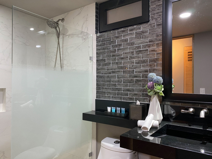 Bathroom 4, Pinnacle Resorts 179 - Adults Only, Puerto Vallarta