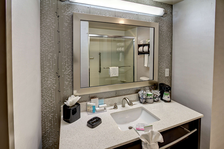 Bathroom 4, Hampton Inn Cookeville, Putnam