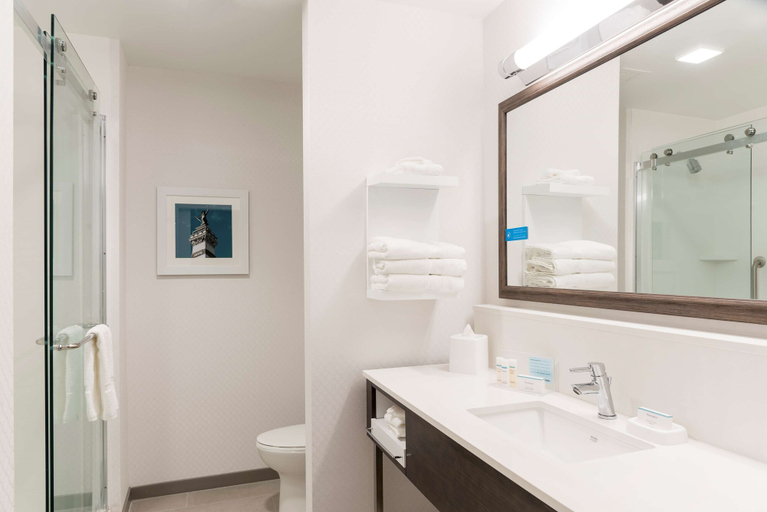 Bathroom 4, Hampton Inn & Suites Indianapolis-Keystone, Marion