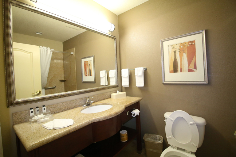 Bathroom 4, Seffner Inn and Suites, Hillsborough