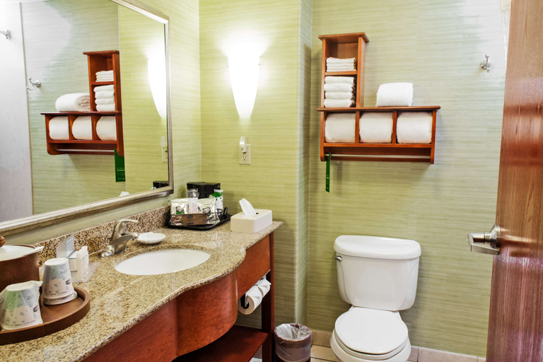 Bathroom 4, Hampton Inn & Suites Harlingen, Cameron