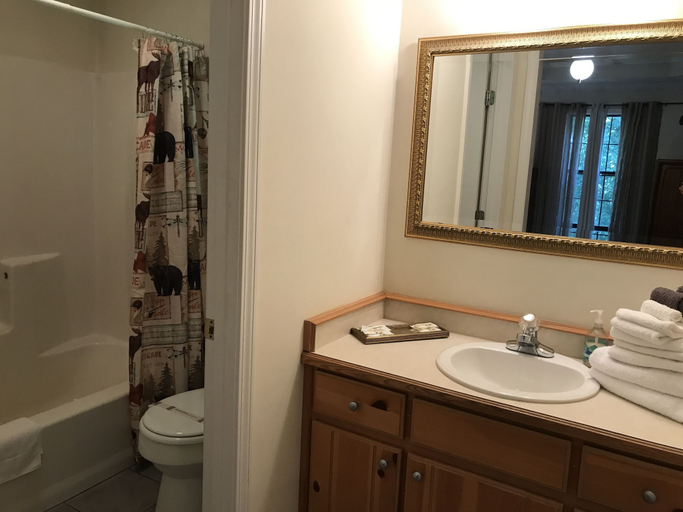 Bathroom 4, Nacoochee Valley Lodge, Habersham