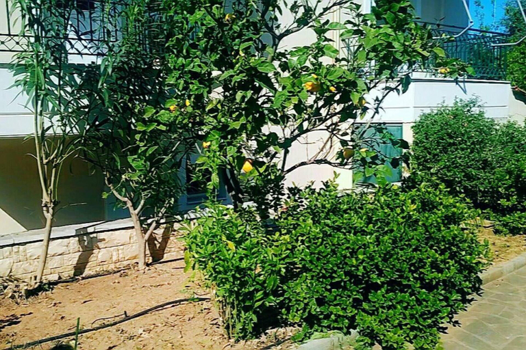 Others 2, Beautiful & Cosy 5-bedroom Villa - Peloponnese, Peloponnese