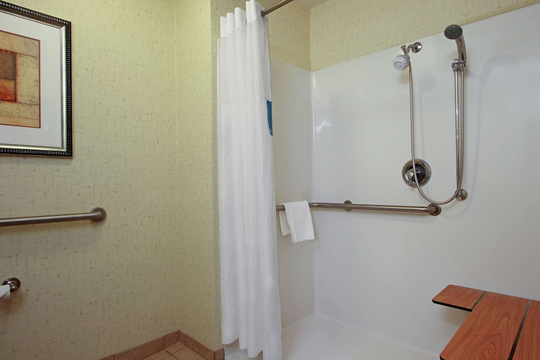 Bathroom 3, Hampton Inn & Suites Buffalo, Leon