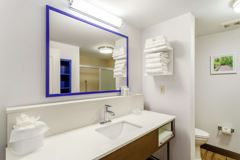 Bathroom 4, Hampton Inn & Suites Chicago-Libertyville, Lake