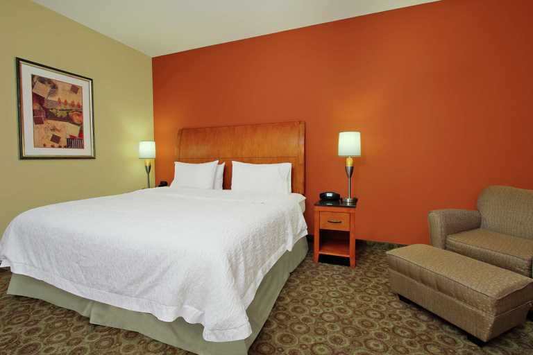 Bedroom 2, Hampton Inn & Suites Buffalo, Leon