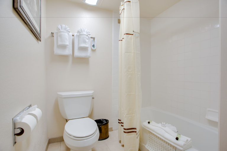 Bathroom 4, Castle Inn and Suites, Orange