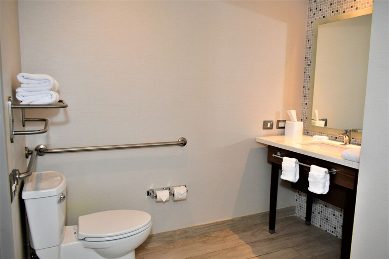 Bathroom 4, Hampton Inn by Hilton Hermosillo, Hermosillo