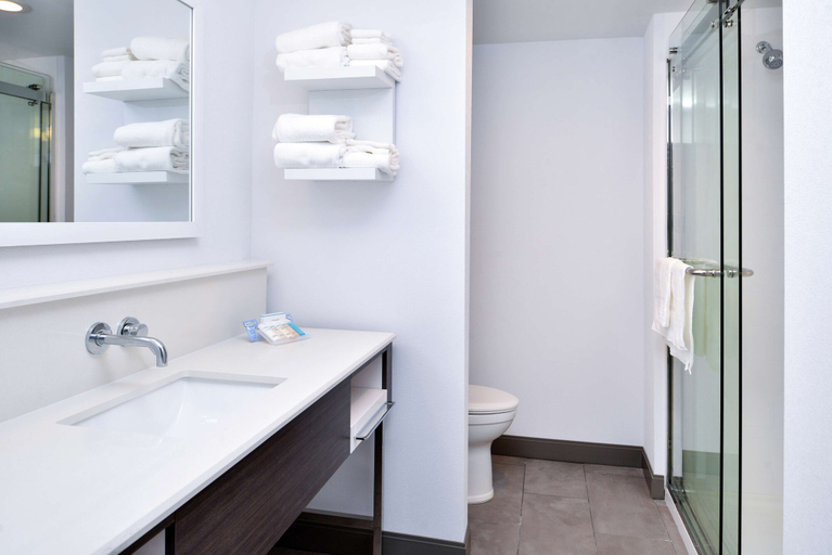 Bathroom 4, Hampton Inn Cedar Falls Downtown, Black Hawk