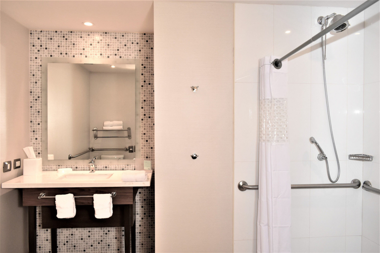 Bathroom 4, Hampton Inn by Hilton Hermosillo, Hermosillo