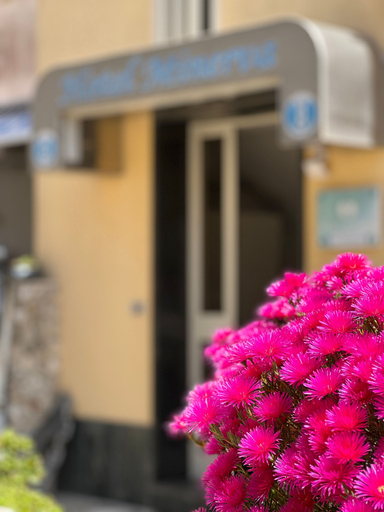 Exterior & Views 2, Hotel Minerva, Lecce