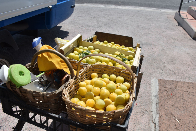 Food & Drinks 5, La Gioiosa, Savona