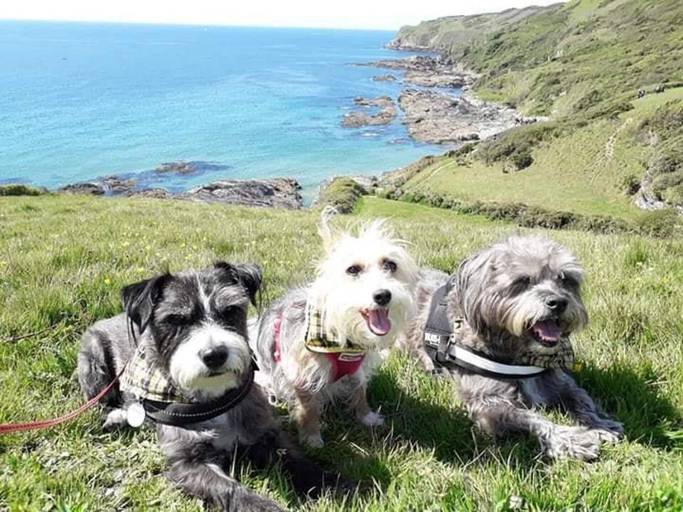 Others 5, 1 Bed Caravan Sleeps 2 - Parking, Garden, Pets, Cornwall