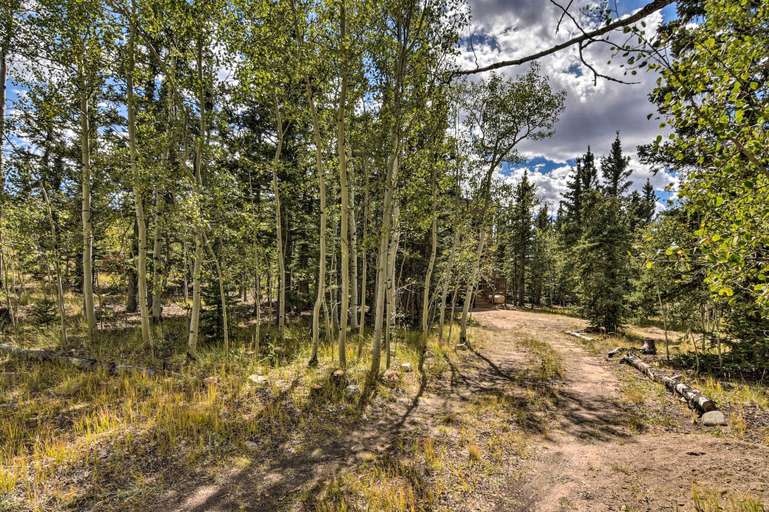 Others 5, Woodsy Cabin Hideaway w/ Deck: Hike, Fish, Escape, Park