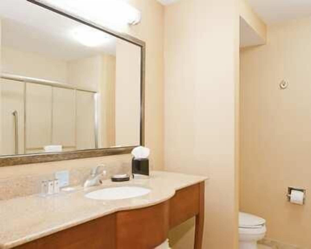 Bathroom, Hampton Inn & Suites Columbia at University, Boone