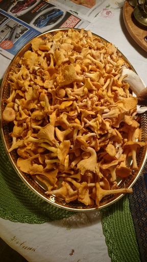 Food & Drinks, Fridhem Coursecenter & Guesthouse, Hedemora