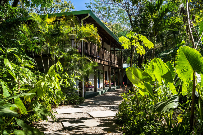 Exterior & Views 2, Sunset Shack Hotel, Nicoya