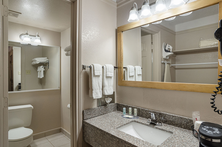 Bathroom 4, Quality Inn Buffalo, Johnson