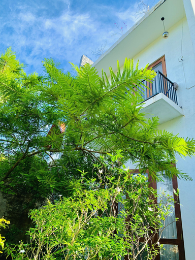 Exterior & Views 2, Jungle City Hostel, Galle Four Gravets