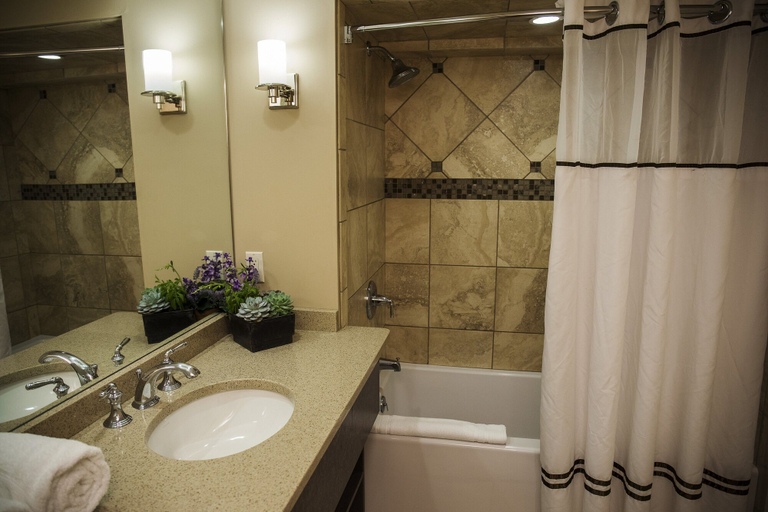 Bathroom 4, Lake Lawn Resort, Walworth