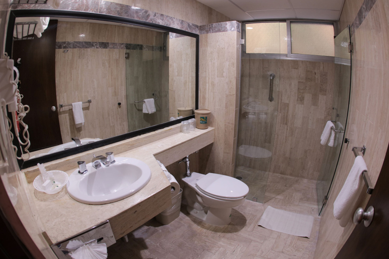 Bathroom 5, Quality Inn Aguascalientes, Aguascalientes