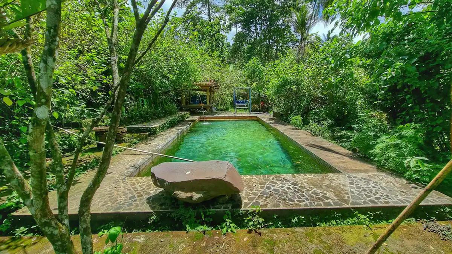 Others 2, Jungle therapy Alas Bangkuwang, Buleleng