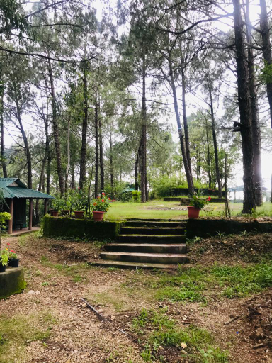 Others 4, Pinewood Nirvana Jungle Resort, Solan