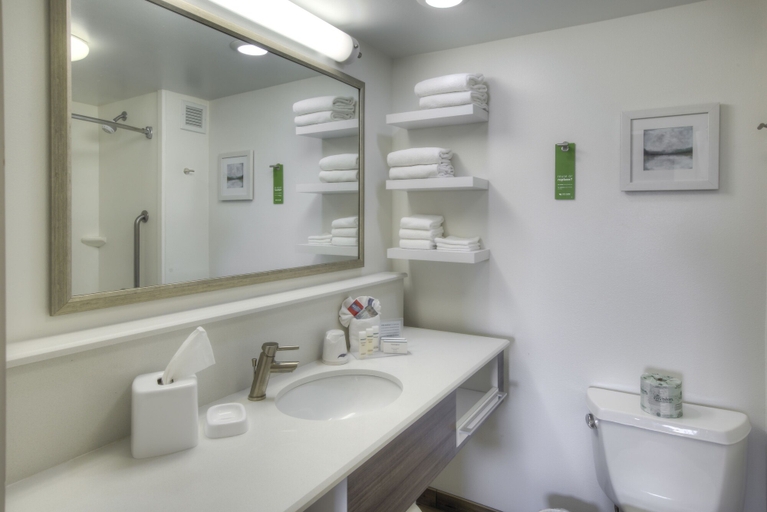 Bathroom 4, Hampton Inn Tampa-International Airport/Westshore, Hillsborough