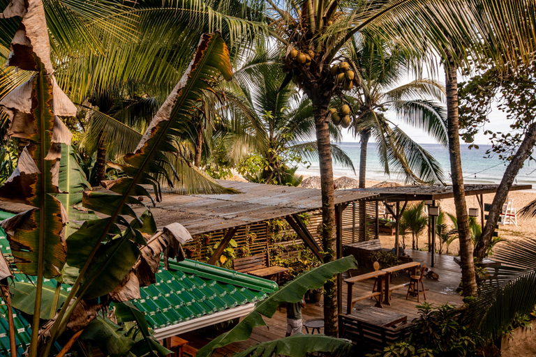 Others 3, Palmar Beach Lodge, Bocas del Toro
