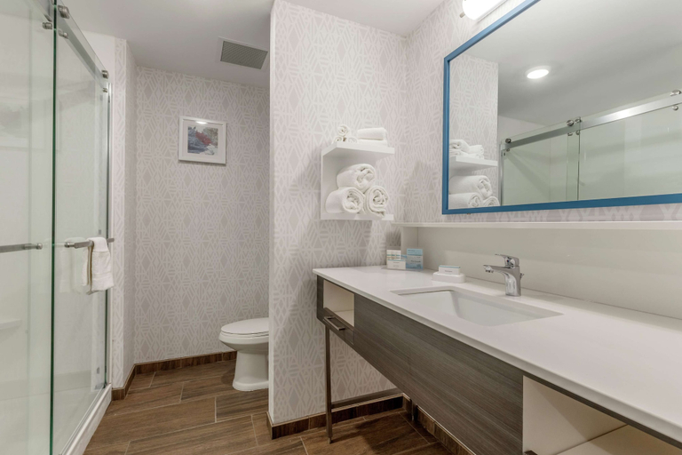 Bathroom 4, Hampton Inn Camden, Kershaw