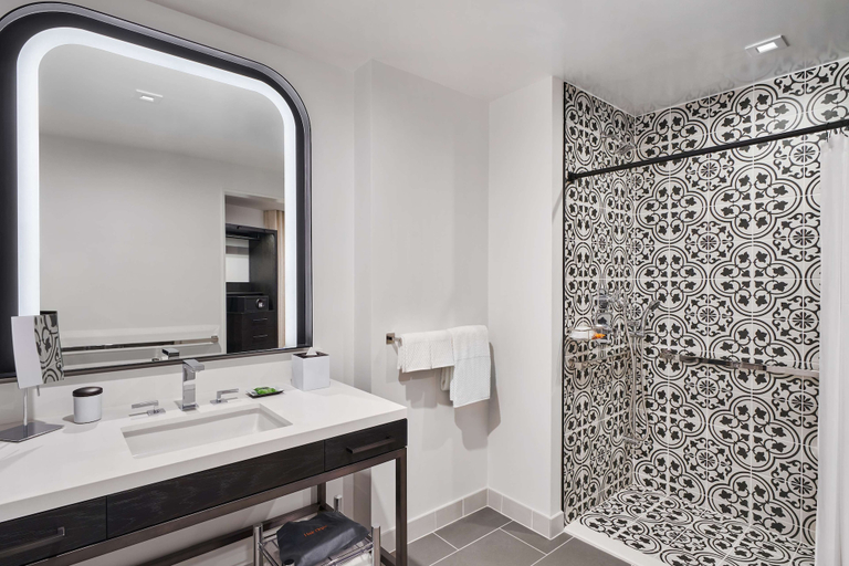 Bathroom 5, Canopy San Antonio Riverwalk, Bexar