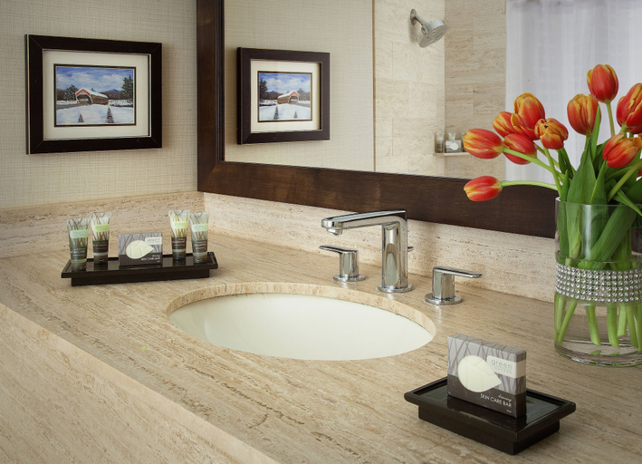 Bathroom 5, North Conway Grand, Carroll