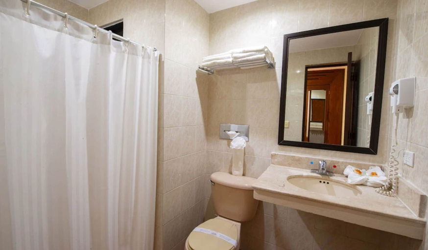 Bathroom 5, Del Gobernador, Mérida