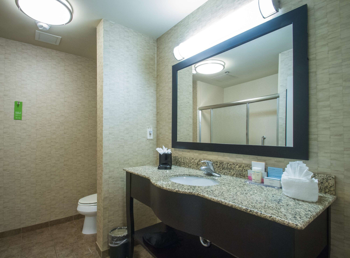 Bathroom 4, Hampton Inn Greenville, Pitt
