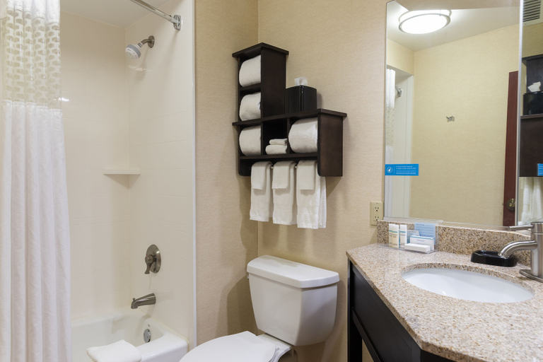 Bathroom 4, Hampton Inn Kent/Akron Area, Portage