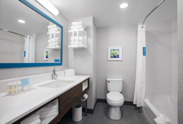 Bathroom 4, Hampton Inn Orlando/Lake Buena Vista, Orange