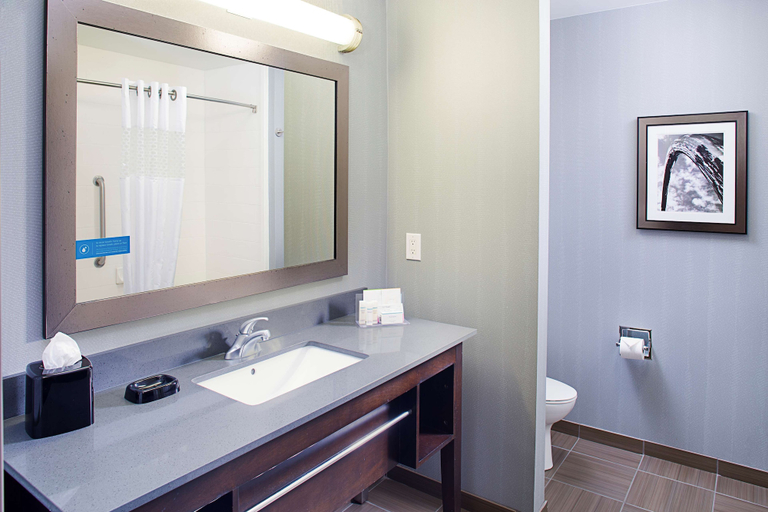 Bathroom 4, Hampton Inn & Suites Lansing West, Eaton
