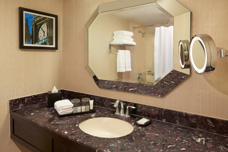 Bathroom 5, Sheraton Ottawa Hotel, Ottawa
