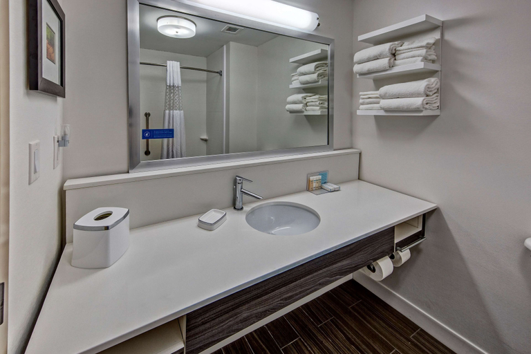 Bathroom 4, Hampton Inn Newberry-Opera House, Newberry