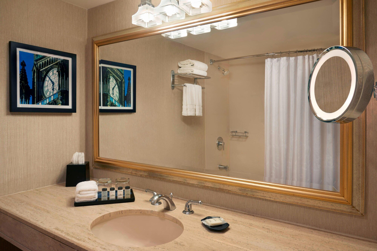 Bathroom 5, Sheraton Ottawa Hotel, Ottawa